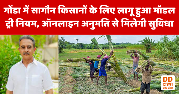 गोंडा में सागौन किसानों के लिए लागू हुआ मॉडल ट्री नियम, ऑनलाइन अनुमति से मिलेगी सुविधा