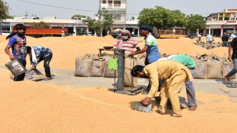 हमीरपुर के किसानों ने केंद्र के गेहूं MSP बढ़ाने के फैसले का किया स्वागत