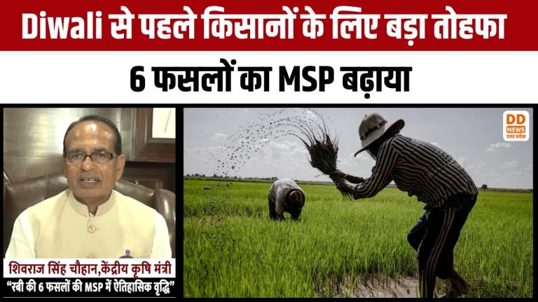 दिवाली से पहले मोदी सरकार ने किसानों को खुशखबरी दी, रबी फसलों का MSP बढ़ाया