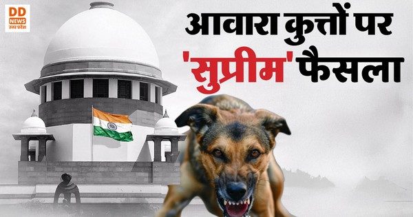 सुप्रीम कोर्ट का बड़ा फैसला: स्कूलों-बस अड्डों के पास से हटाए जाएंगे स्ट्रे डॉग्स, शेल्टर होम में होंगी उनकी देखभाल