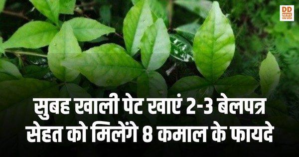 सुबह खाली पेट खाएं 2-3 बेलपत्र, सेहत को मिलेंगे 8 कमाल के फायदे