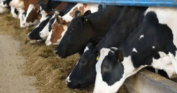 PM Jan Aushadhi Kendra