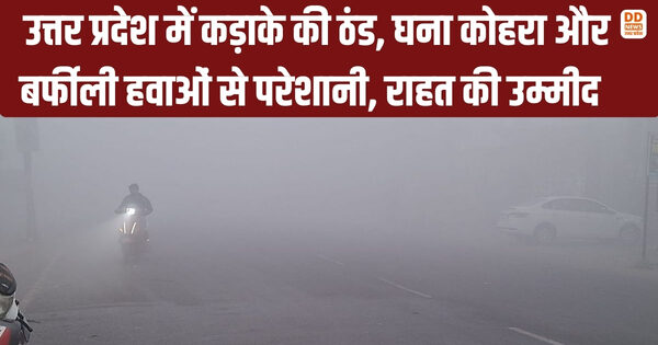 उत्तर प्रदेश में कड़ाके की ठंड, घना कोहरा और बर्फीली हवाओं से परेशानी, राहत की उम्मीद