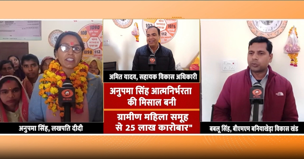 लखपति दीदी अनुपमा सिंह