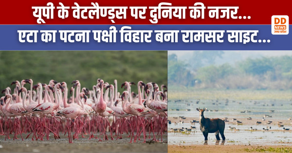 रामसर साइट