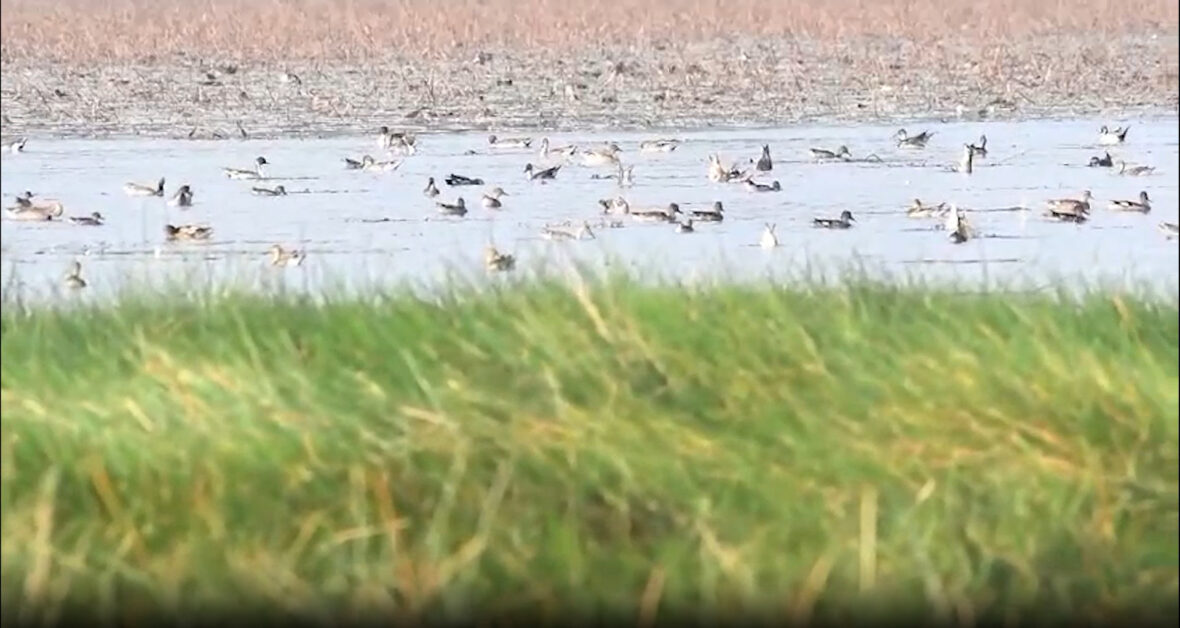 बाराबंकी 