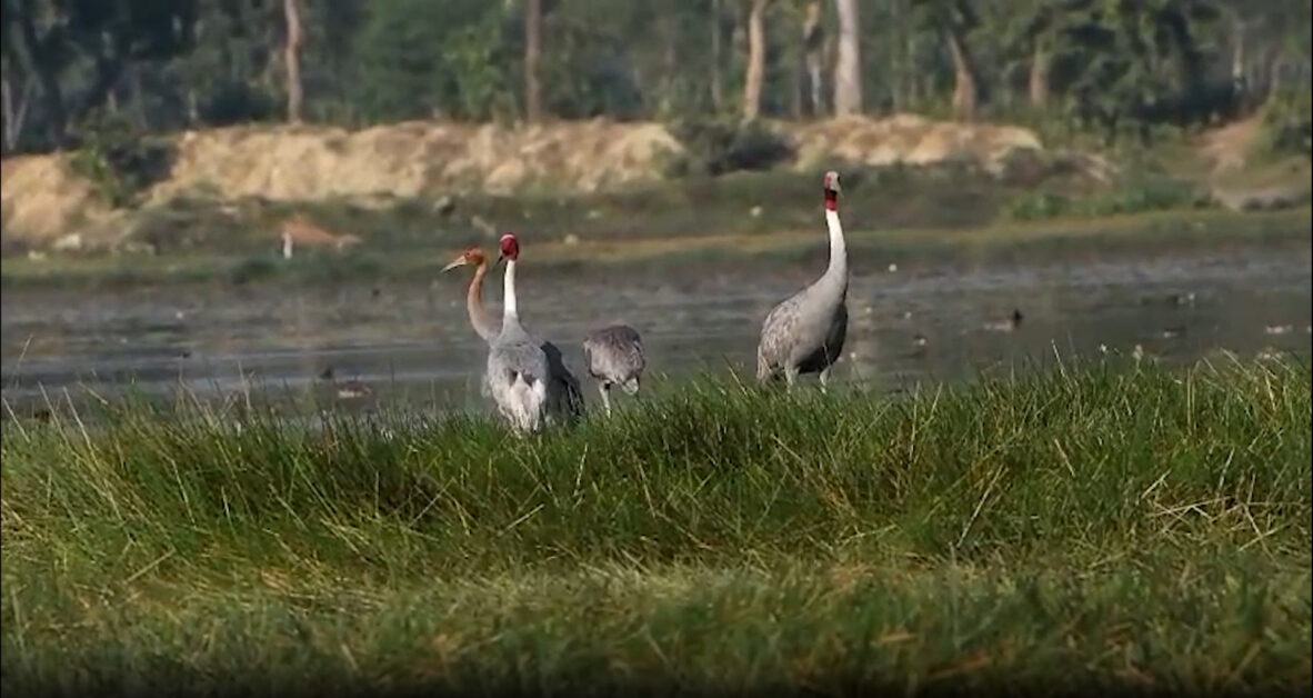 बाराबंकी 