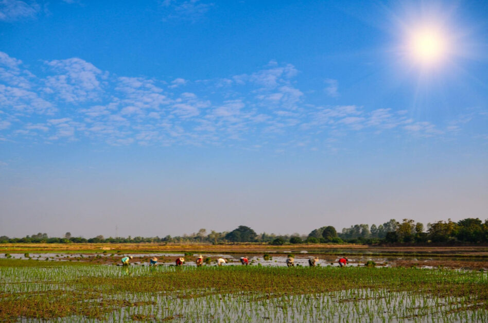 Carbon Credit Finance Scheme