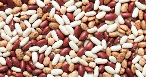 Beans से कम हो सकता है कोलेस्ट्रॉल, लेकिन इन लोगों को रहना चाहिए सावधान, 7 बड़े फायदे