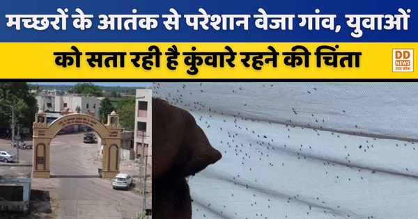 मच्छरों के आतंक से परेशान Veja gaon, युवाओं को सता रही है कुंवारे रहने की चिंता