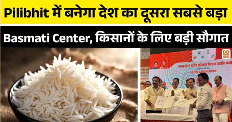 Pilibhit के बासमती चावल की खुशबू अब दुनिया के कई देशों में महकेगी, केंद्रीय मंत्री जितिन प्रसाद ने की बड़ी घोषणा