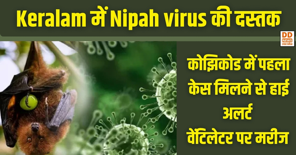 Nipah virus