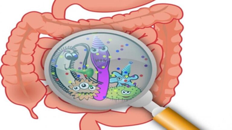 Artificial Sweeteners : आर्टिफिशियल स्वीटनर्स सेहत के लिए कितने सही? कैम्ब्रिज की स्टडी में हुआ बड़ा खुलासा