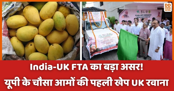 UP chausa mango export