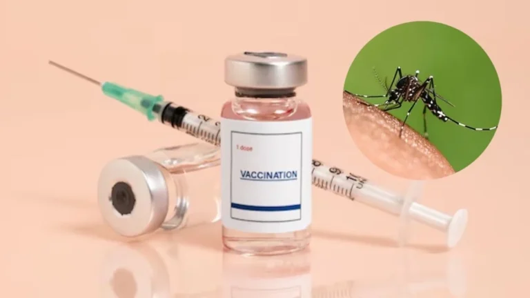 Dengue Vaccine India: भारत में डेंगू की पहली वैक्सीन QDENGA को मिली मंजूरी