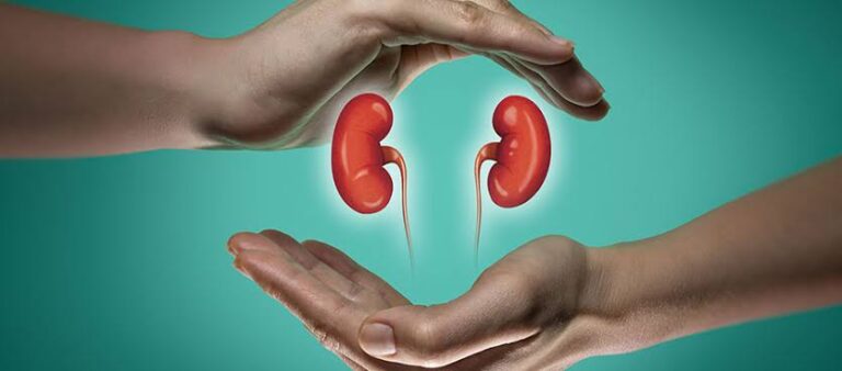 Kidney Health : शरीर में पानी की कमी से बढ़ सकता है बड़ा संकट, जानिए आपकी किडनी हेल्थ पर इसका क्या असर होता है