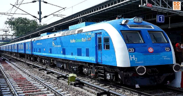 Hydrogen fuel cell