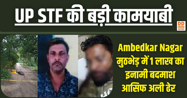 UP STF