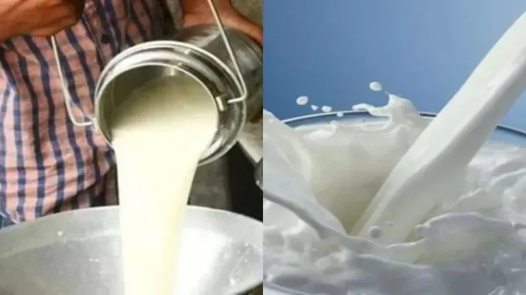Maharashtra Milk Price Hike : महाराष्ट्र में दूध हुआ महंगा, 11 अगस्त से 2 रुपये बढ़ेंगे दाम | DD News Uttar Pradesh