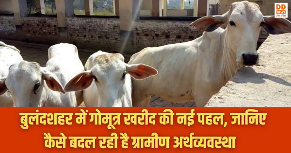 Bulandshahr, गोमूत्र, DD News Uttar Pradesh, DD News UP