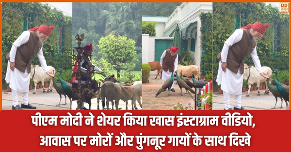 PM Modi instagram video