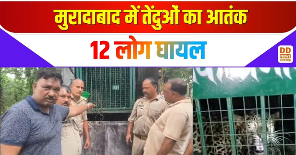 Thakurdwara, Moradabad News