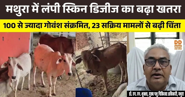 Mathura Lumpy Skin Disease (LSD)