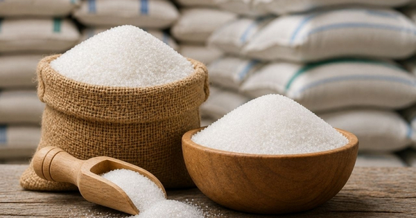 Government sugar stock limit: थोक खरीदारों के लिए के लिए जाने क्या हैं नियम