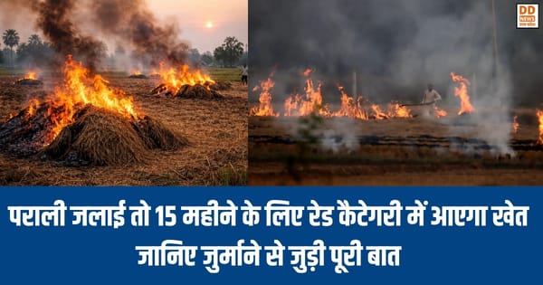 Parali Burning new rules