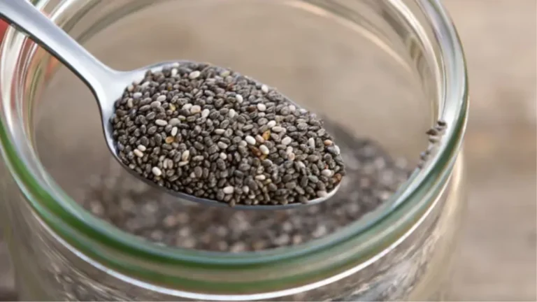 Chia Seeds Side Effects : इन 5 लोगों को चिया सीड्स से बना लेनी चाहिए दूरी, हो सकता है नुकसान