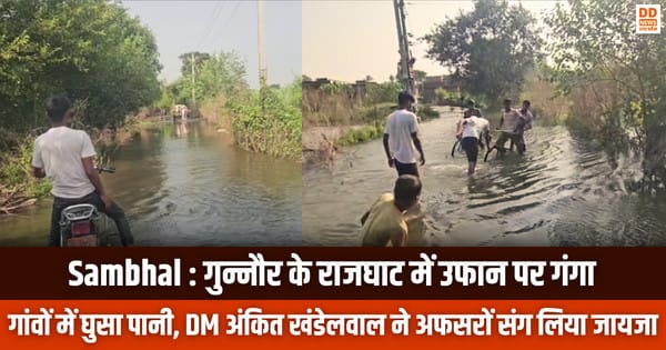 Sambhal Flood, गुन्नौर