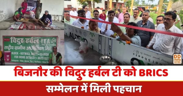 Bijnor, vidur herbal tea