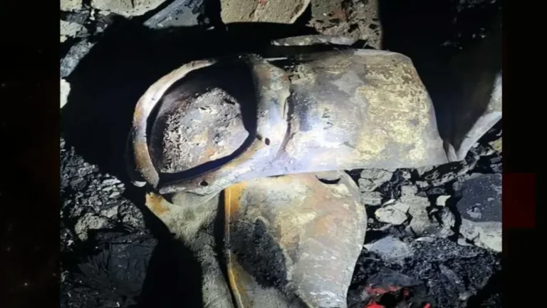 Delhi Fire Incident : दिल्ली में आग का तांडव सिलेंडर धमाके से 1 की मौत, स्वरूप नगर हादसे में 6 घायल