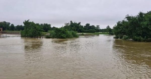 UP heavy rain, Bareilly