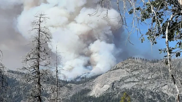 US Wildfire News : योसेमिट में फायरफाइटिंग हेलीकॉप्टर हादसे का शिकार, दोनों पायलटों ने गंवाई जान