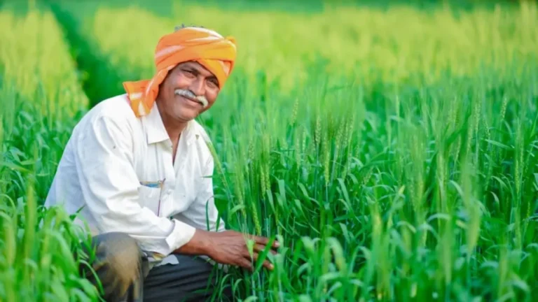 UP Farmer Subsidy : UP के किसानों के लिए बड़ी खुशखबरी, कृषि मशीनरी खरीदने पर मिलेगी सब्सिडी