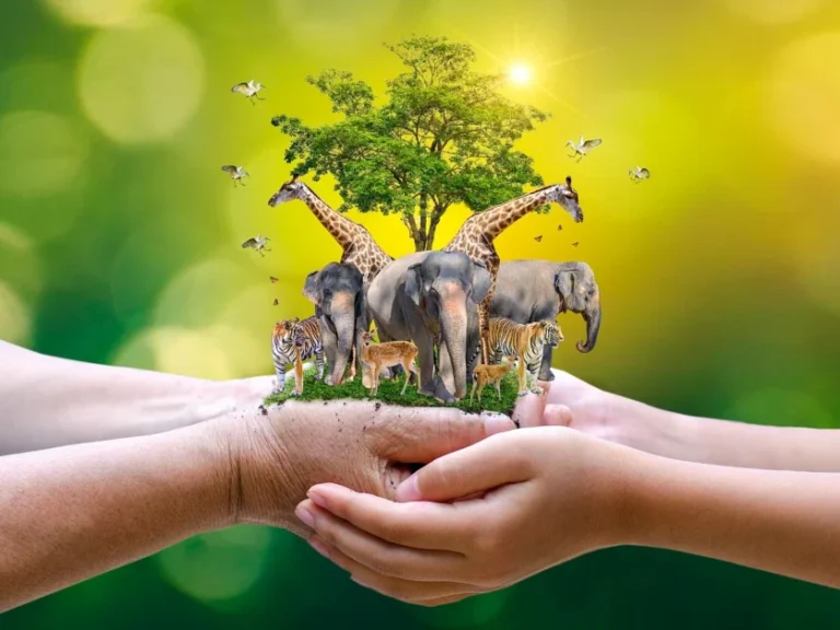 World Animal Day : 4 अक्टूबर को मनाया जाता है विश्व पशु दिवस, पशु कल्याण और संरक्षण के लिए जागरूकता का दिन